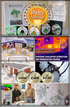 Online Training & Certification